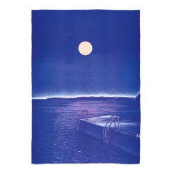 Affiche Le bain de minuit - Manon Diemer