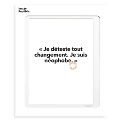 Affiche Loic Prigent Je Déteste Tout - 30 x 40 cm