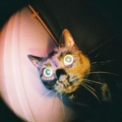 Appareil Photo Fisheye Baby 110 Gold