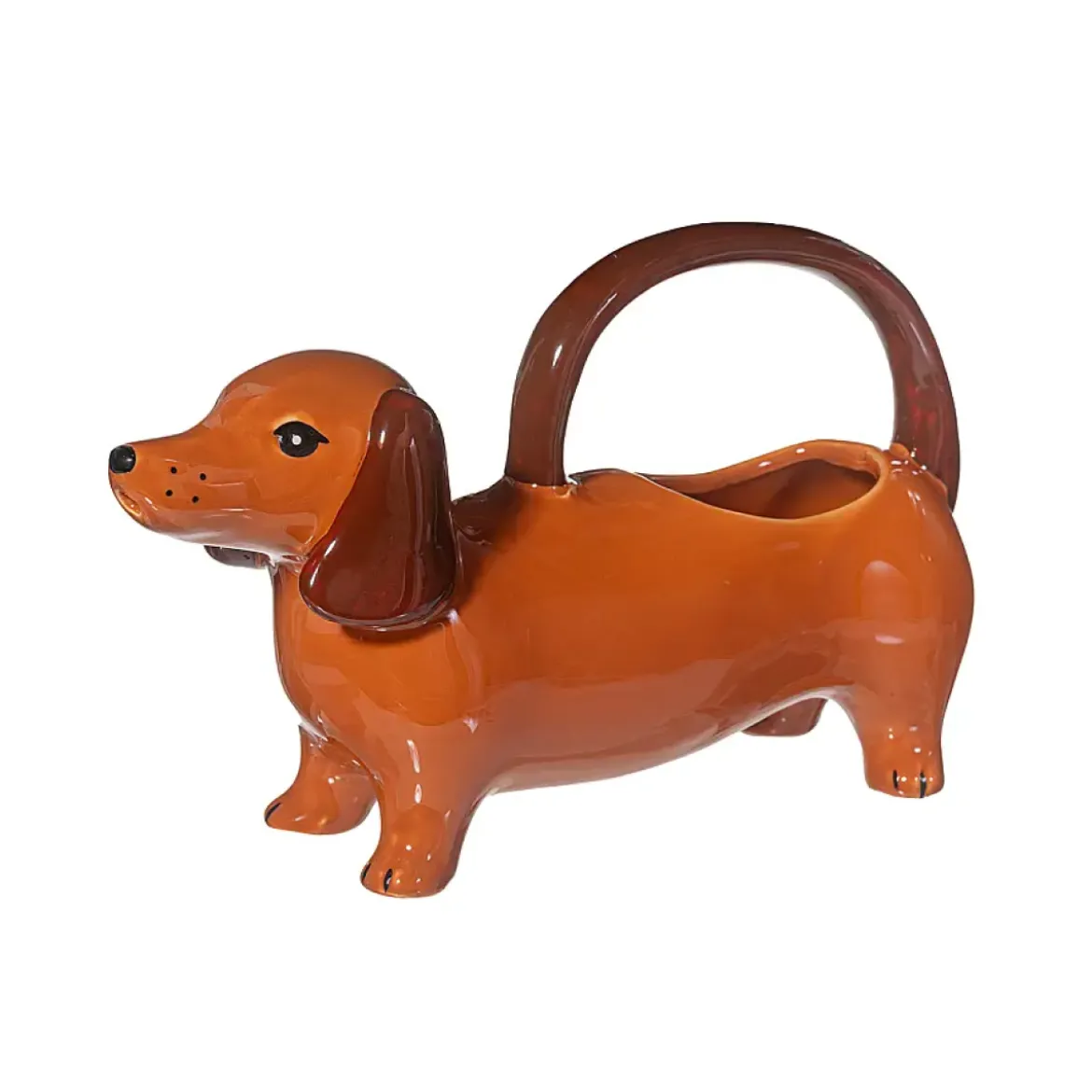 Arrosoir Chien Saucisse