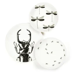 Assiette creuse - Libellule
