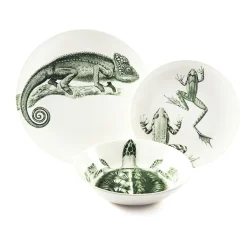 Assiette creuse - Tortue