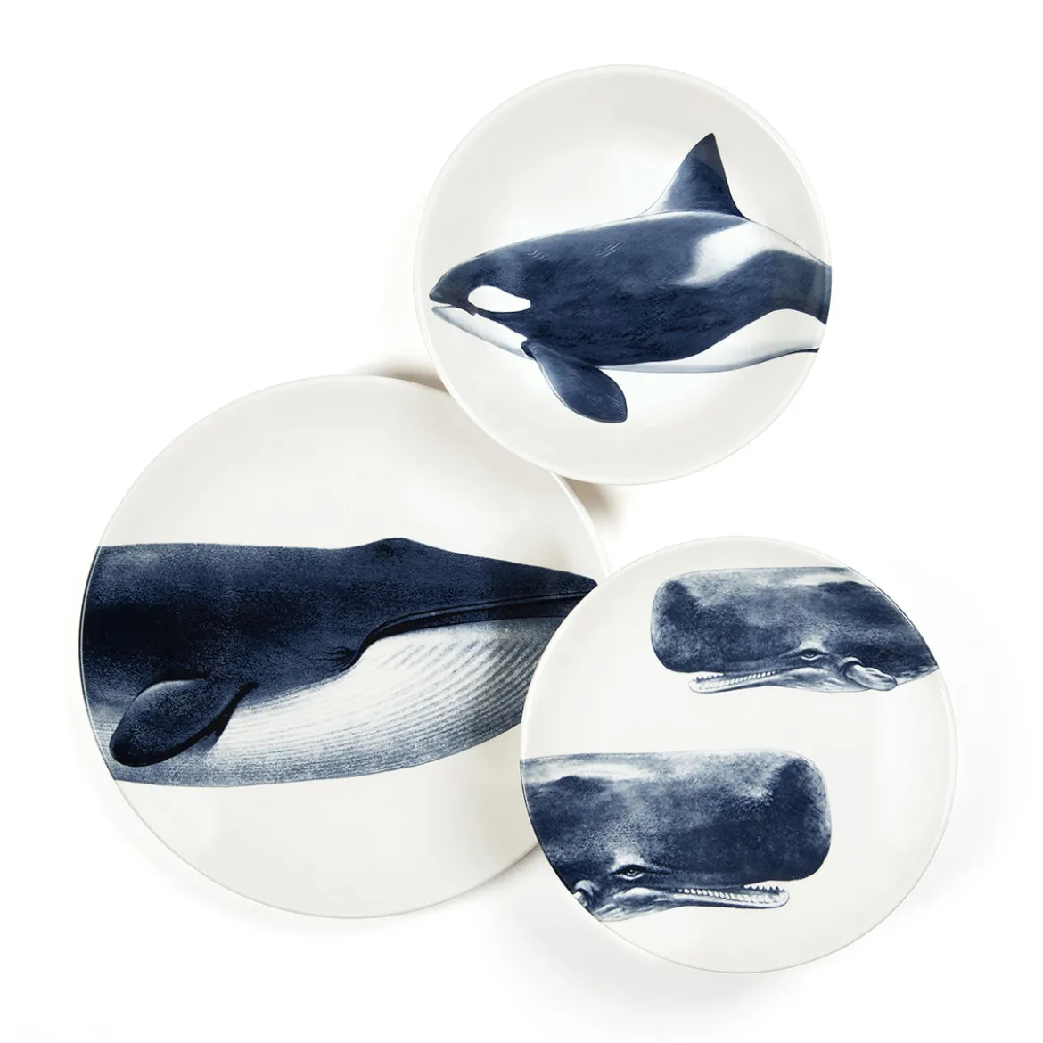 Assiette plate - Baleine