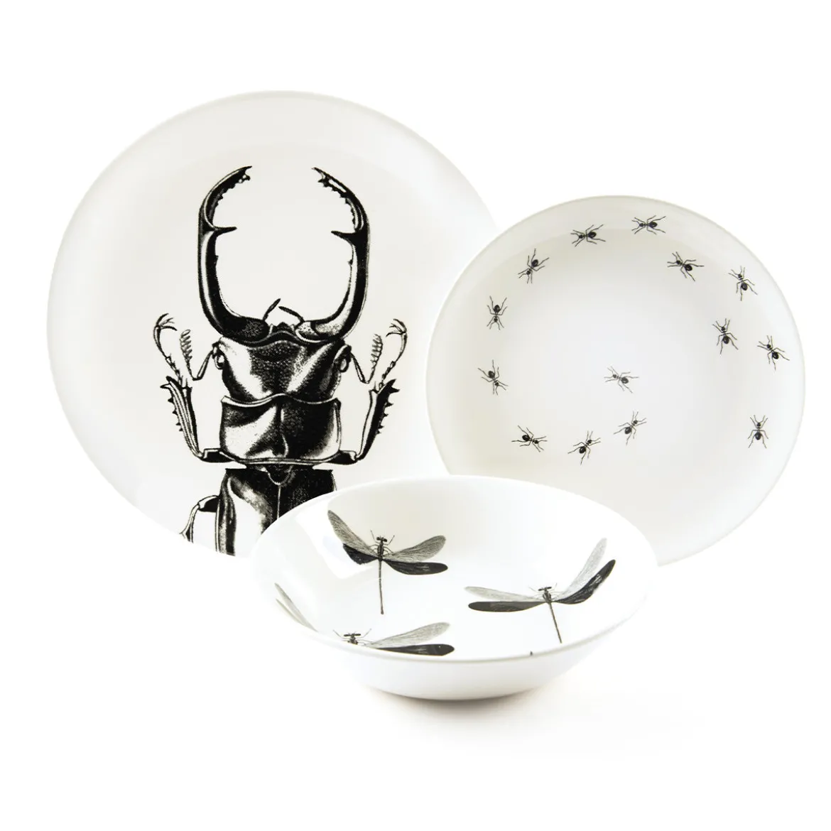Assiette plate - Scarabée