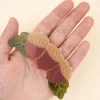 Barrette - French Glands