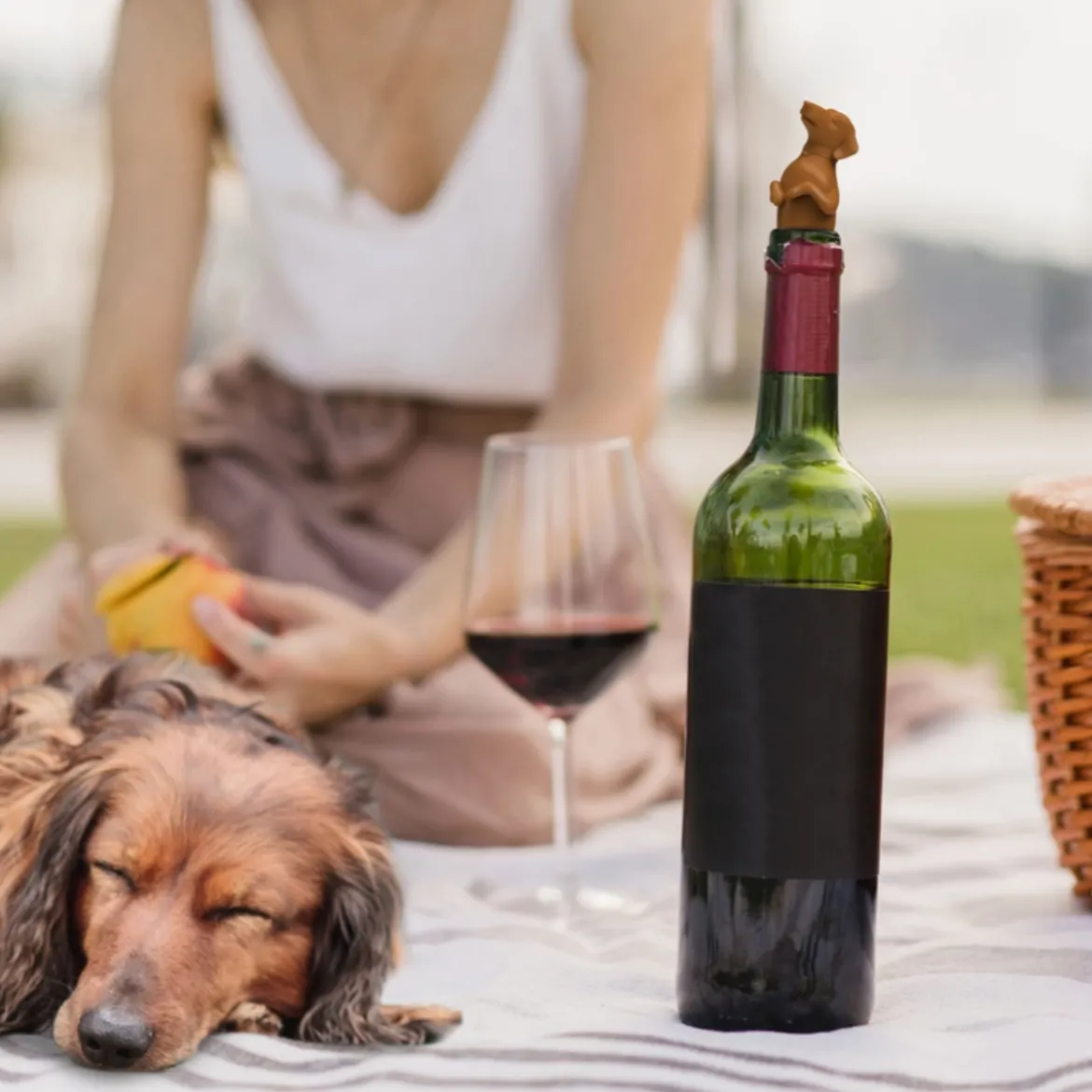 Bouchon de bouteille - Winer Dog
