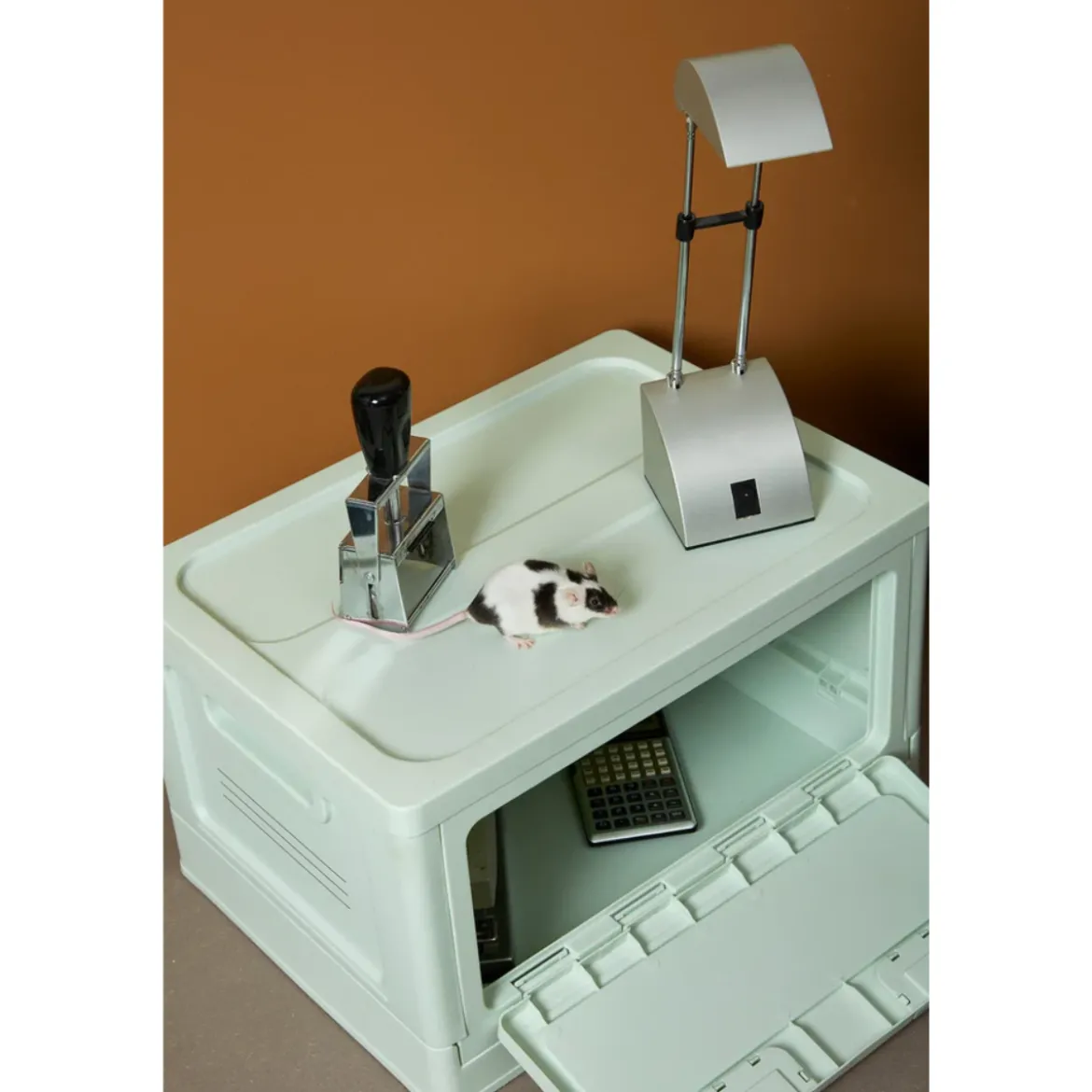 Box Studio About - Mint