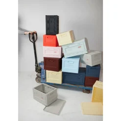 Box Studio About - Rose