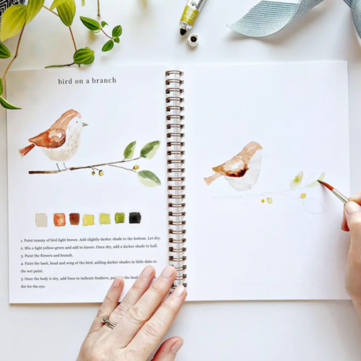Carnet d'aquarelle - Animals