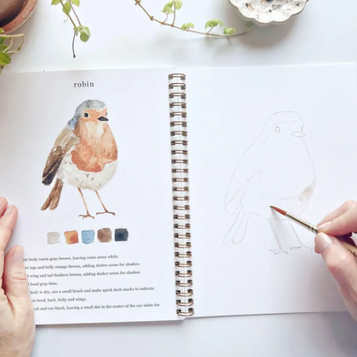 Carnet d'aquarelle - Birds