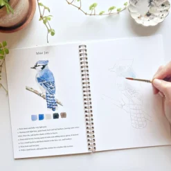 Carnet d'aquarelle - Birds