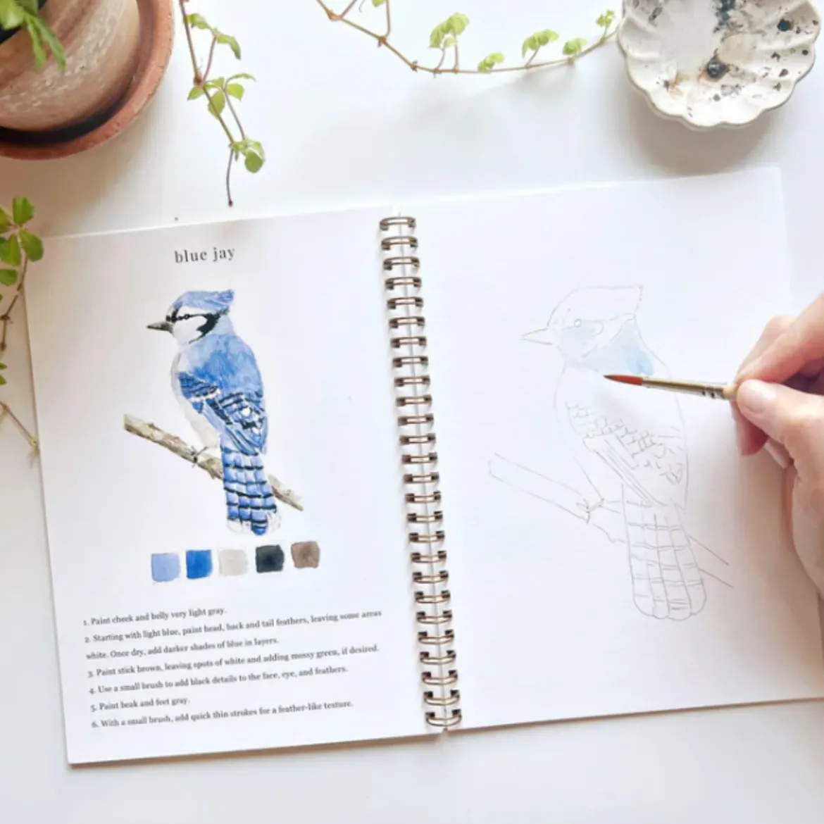 Carnet d'aquarelle - Birds