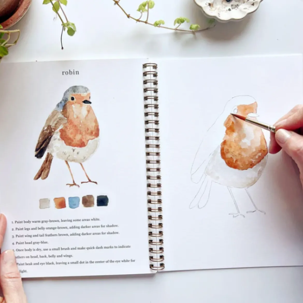Carnet d'aquarelle - Birds