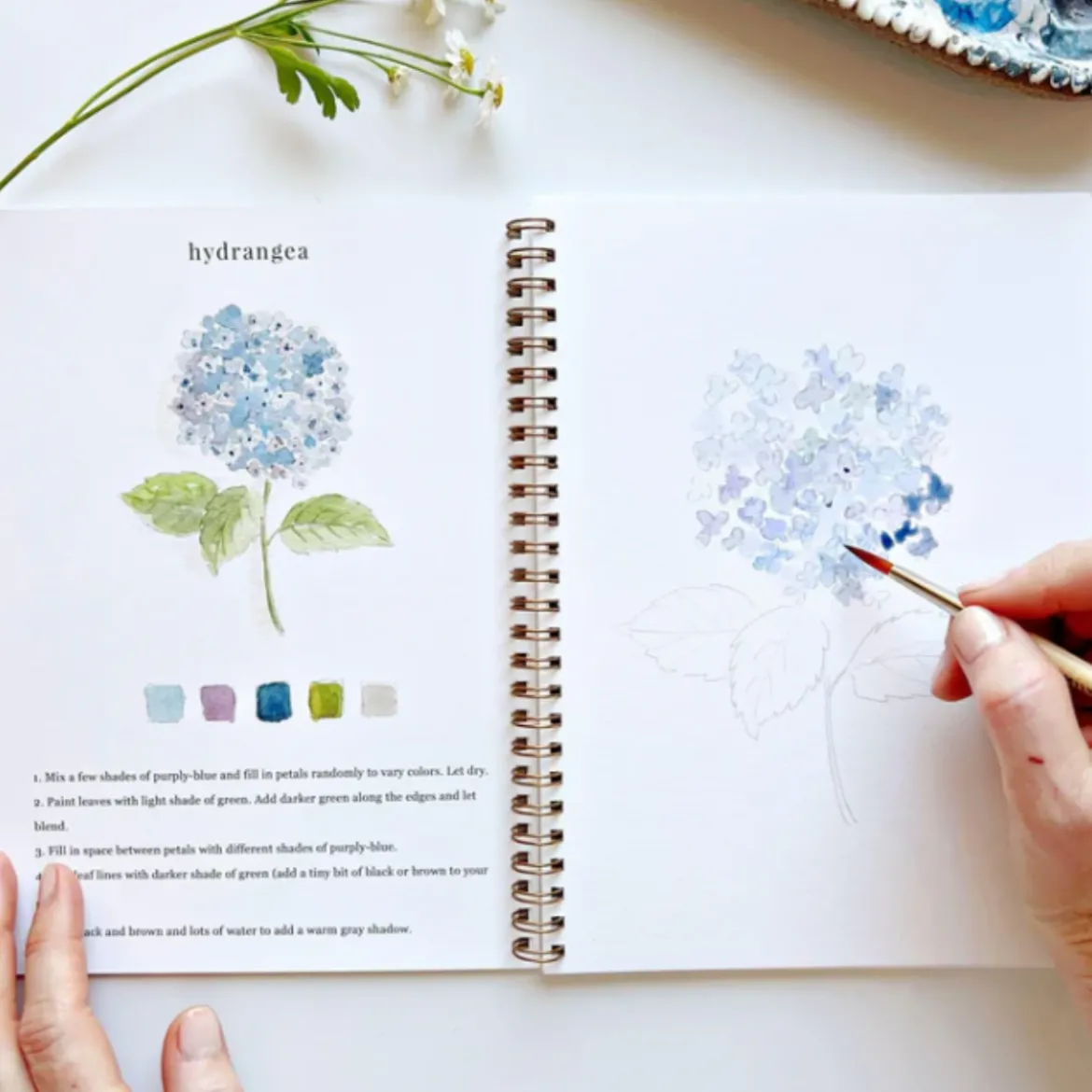 Carnet d'aquarelle - Flowers