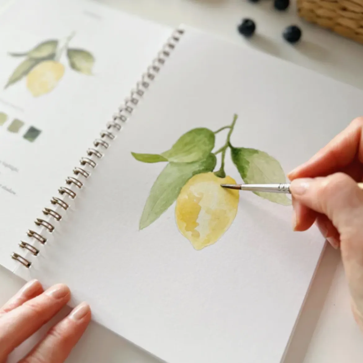 Carnet d'aquarelle - Fruit