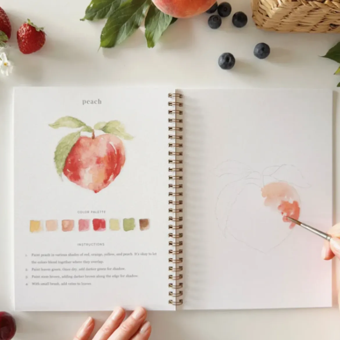 Carnet d'aquarelle - Fruit