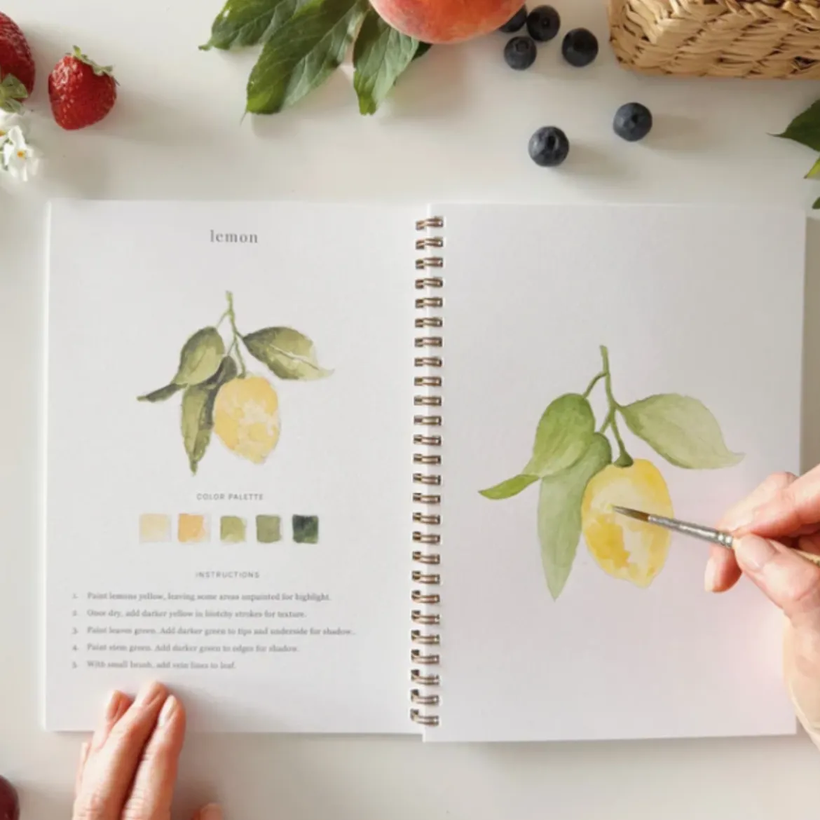 Carnet d'aquarelle - Fruit