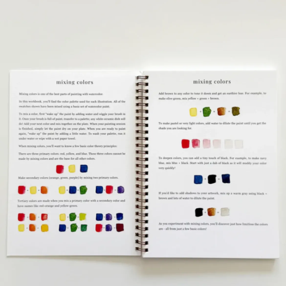 Carnet d'aquarelle - Fruit
