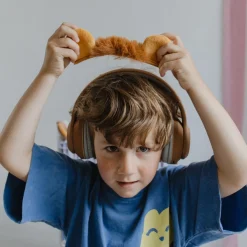 Casque Audio Bluetooth - Lion