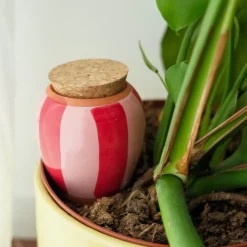 Diffuseur d'eau naturel Olla