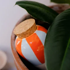 Diffuseur d'eau naturel Olla