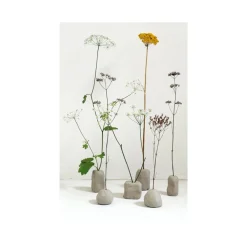Jouer avec les fleurs - Hachette Pratique