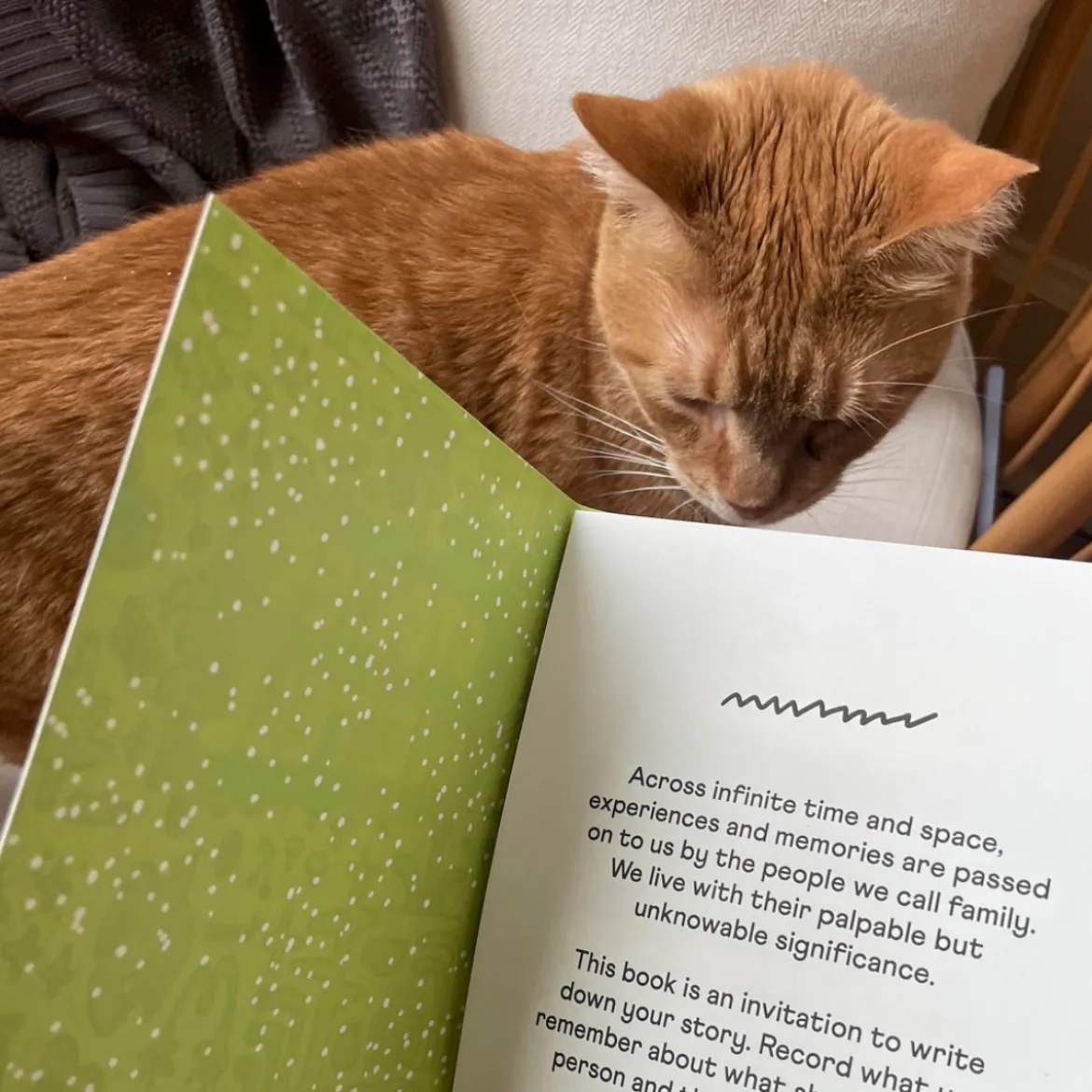Journal Stories We Tell