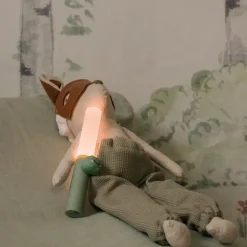 Lampe Portable - Zoo Dino
