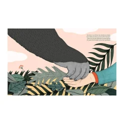 Livre Dian Fossey Collection Petite & Grande