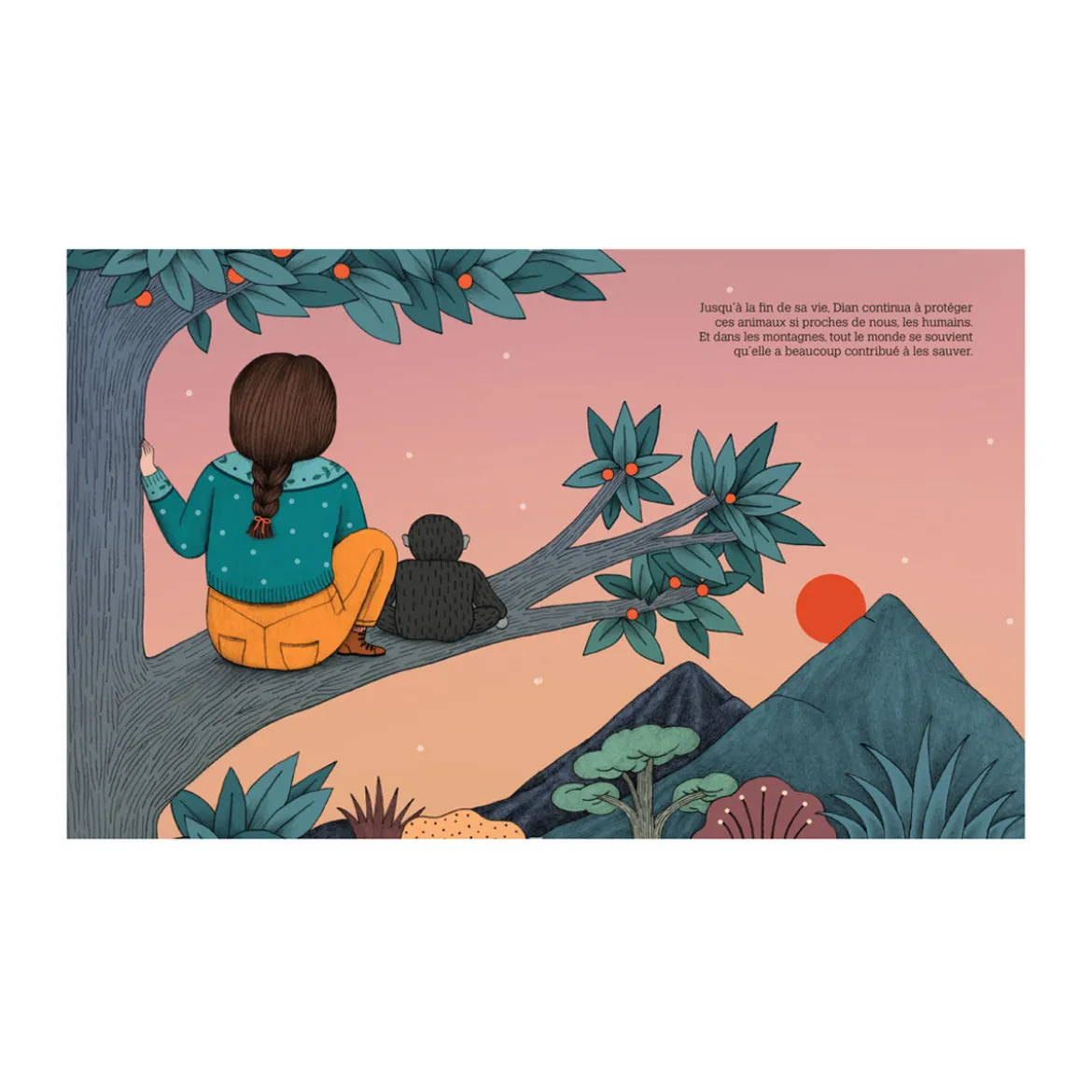 Livre Dian Fossey Collection Petite & Grande