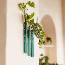 Pack de 3 vases muraux