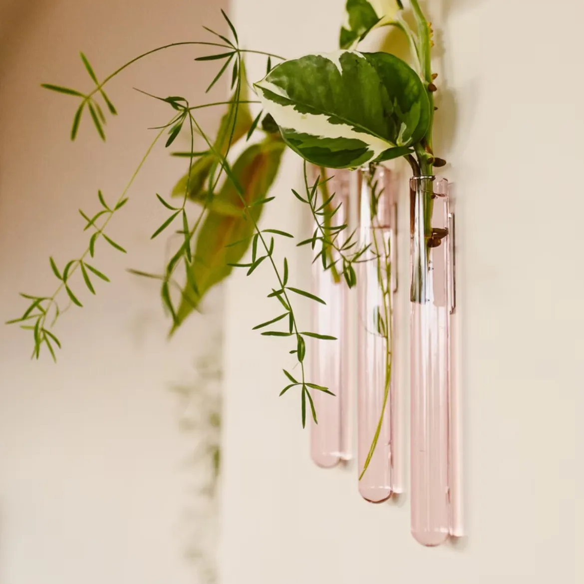Pack de 3 vases muraux
