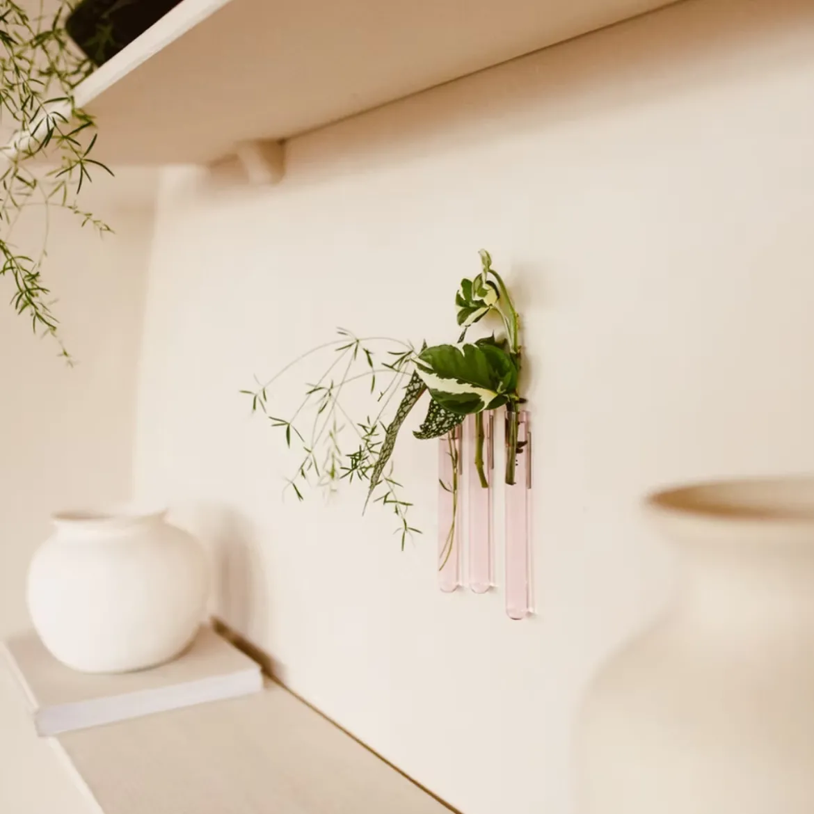 Pack de 3 vases muraux