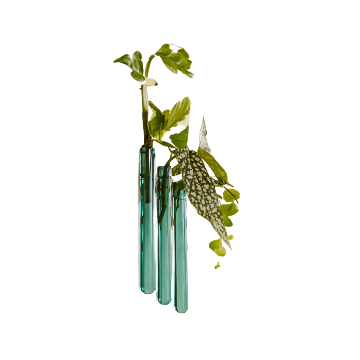 Pack de 3 vases muraux