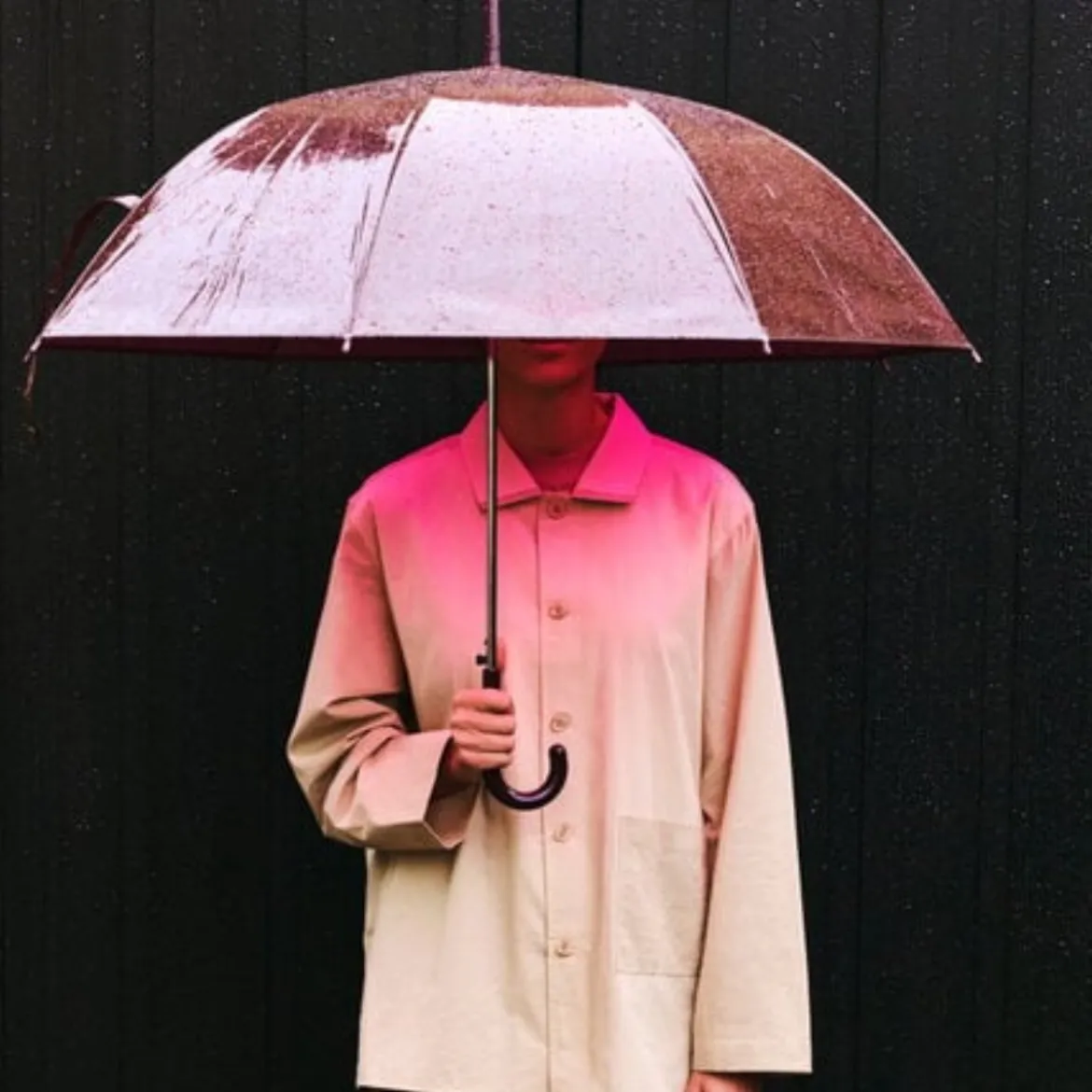 Parapluie Canopy