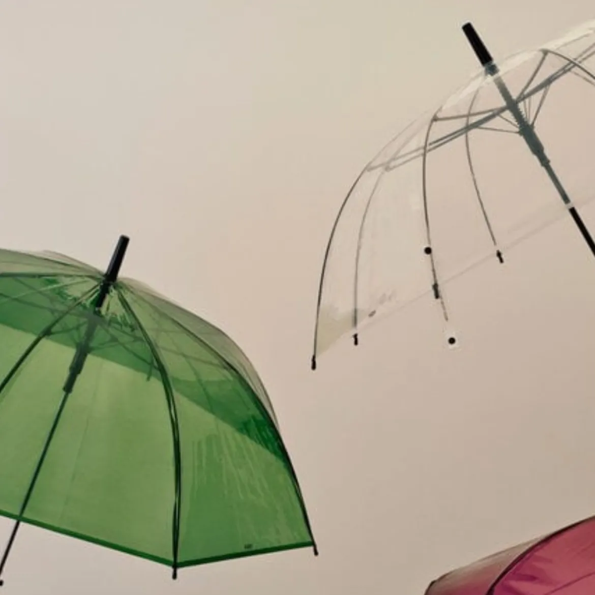 Parapluie Canopy