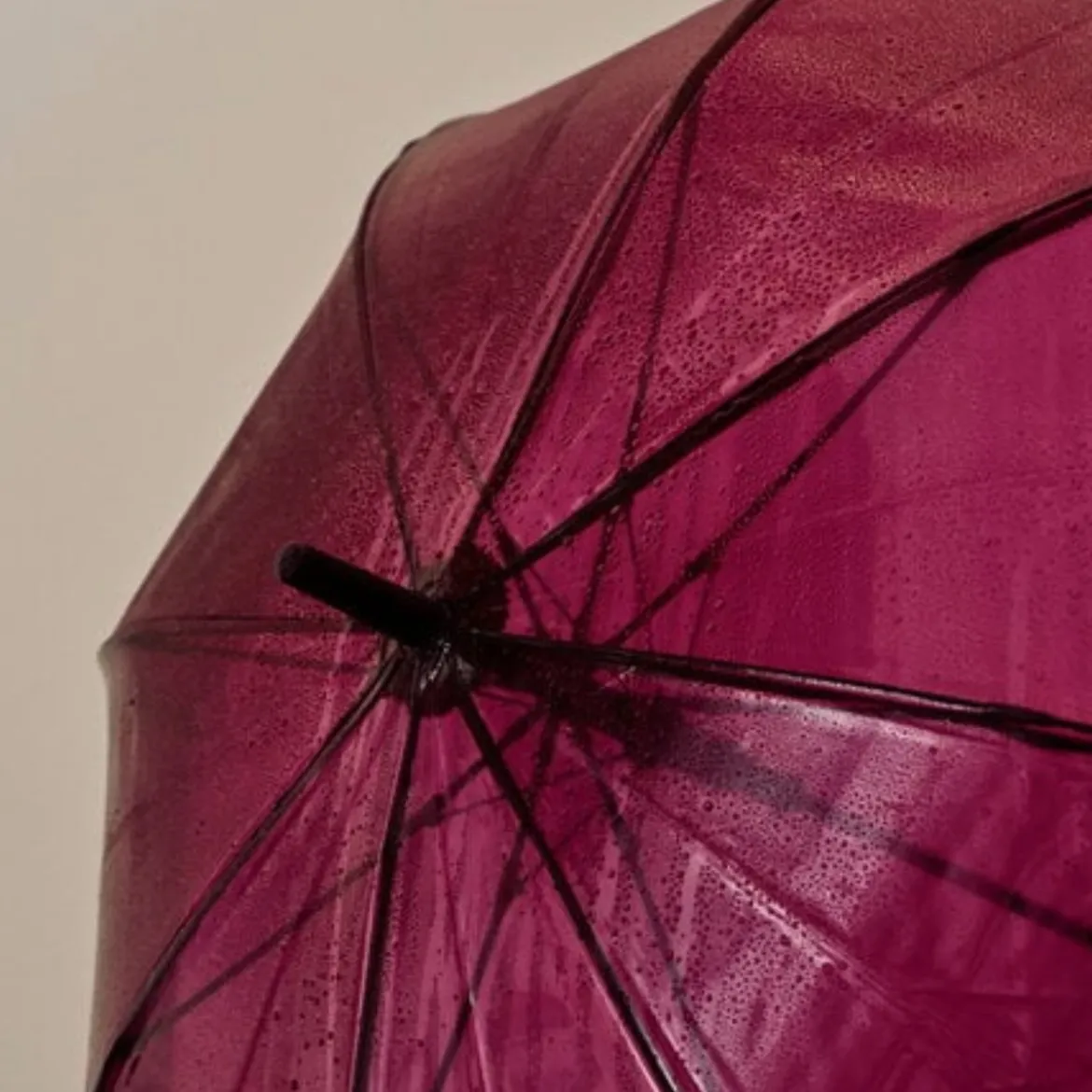 Parapluie Canopy