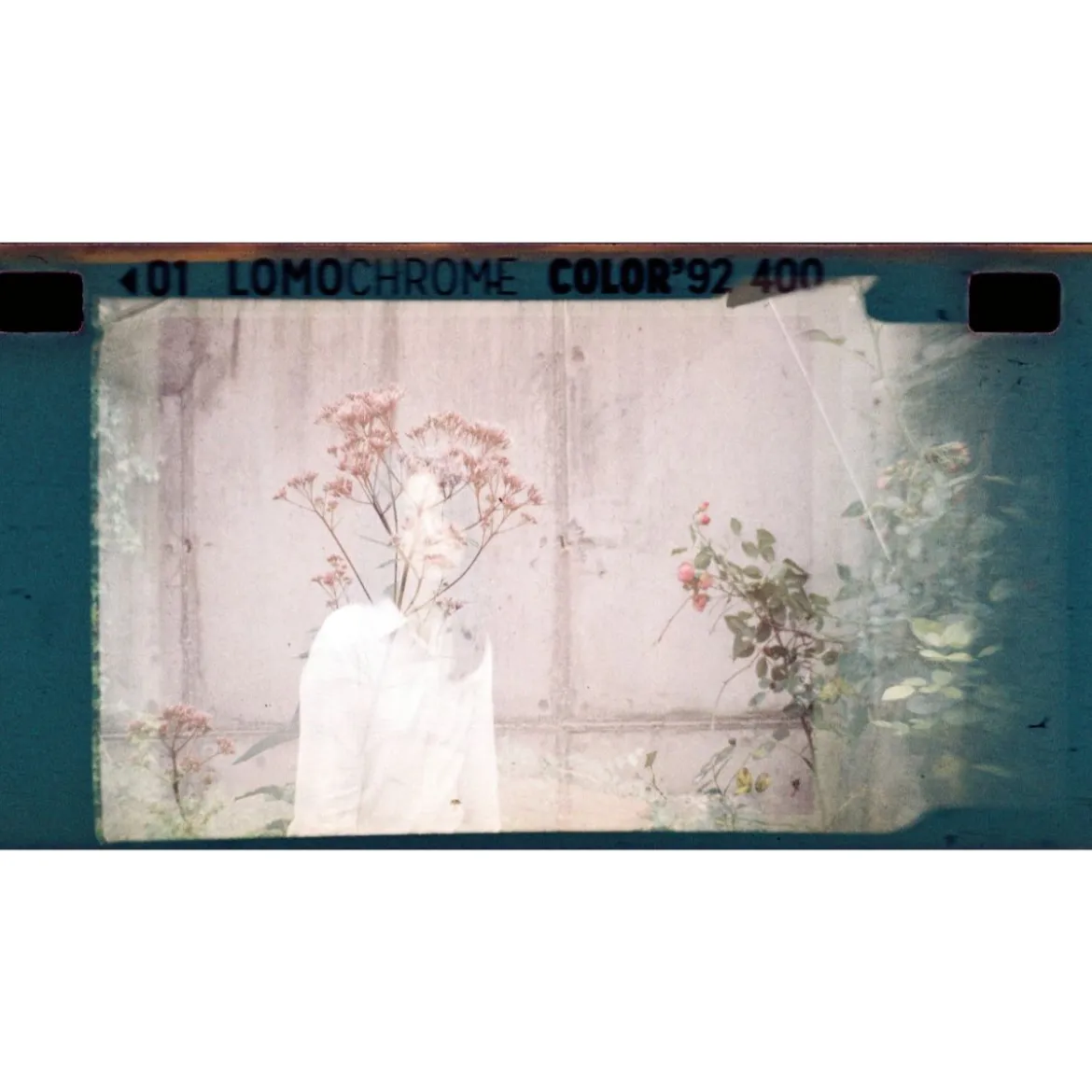 Pellicule Lomochrome Turquoise 135 - Lomochrome 2024