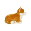 Peluche Corgi