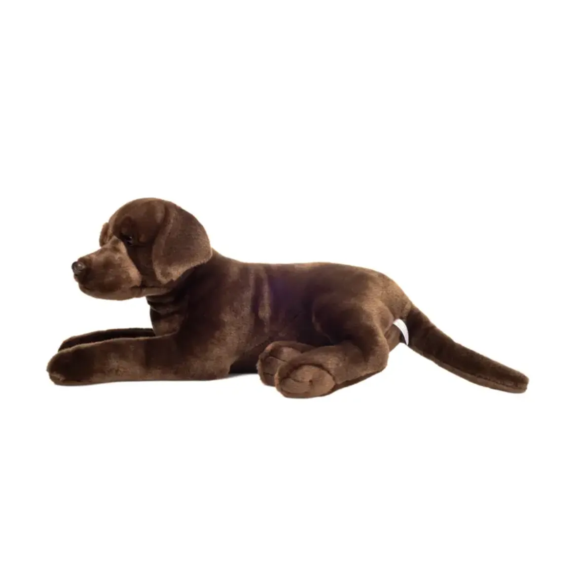 Peluche Labrador Marron Chocolat Couché