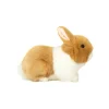 Peluche Lapin Beige et Blanc