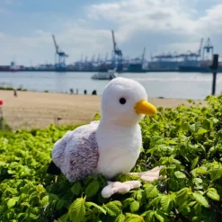 Peluche Mouette