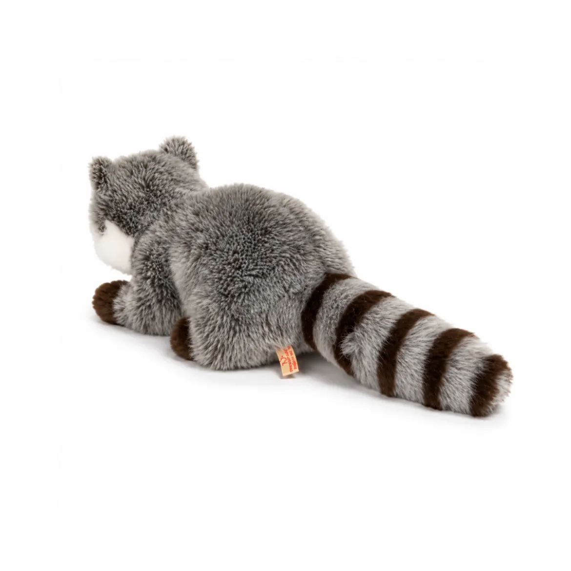 Peluche Raton laveur