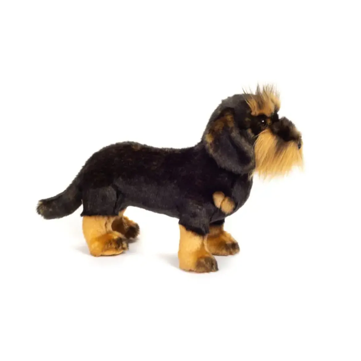 Peluche Teckel à poil dur debout
