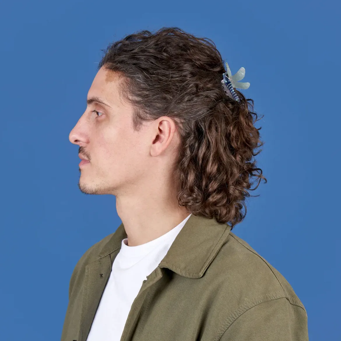 Pince à Cheveux Libellule
