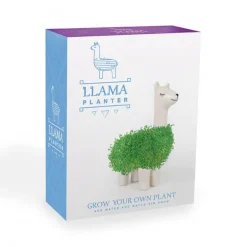 Pot / Jardinière Chia Lama