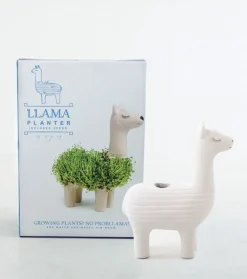 Pot / Jardinière Chia Lama
