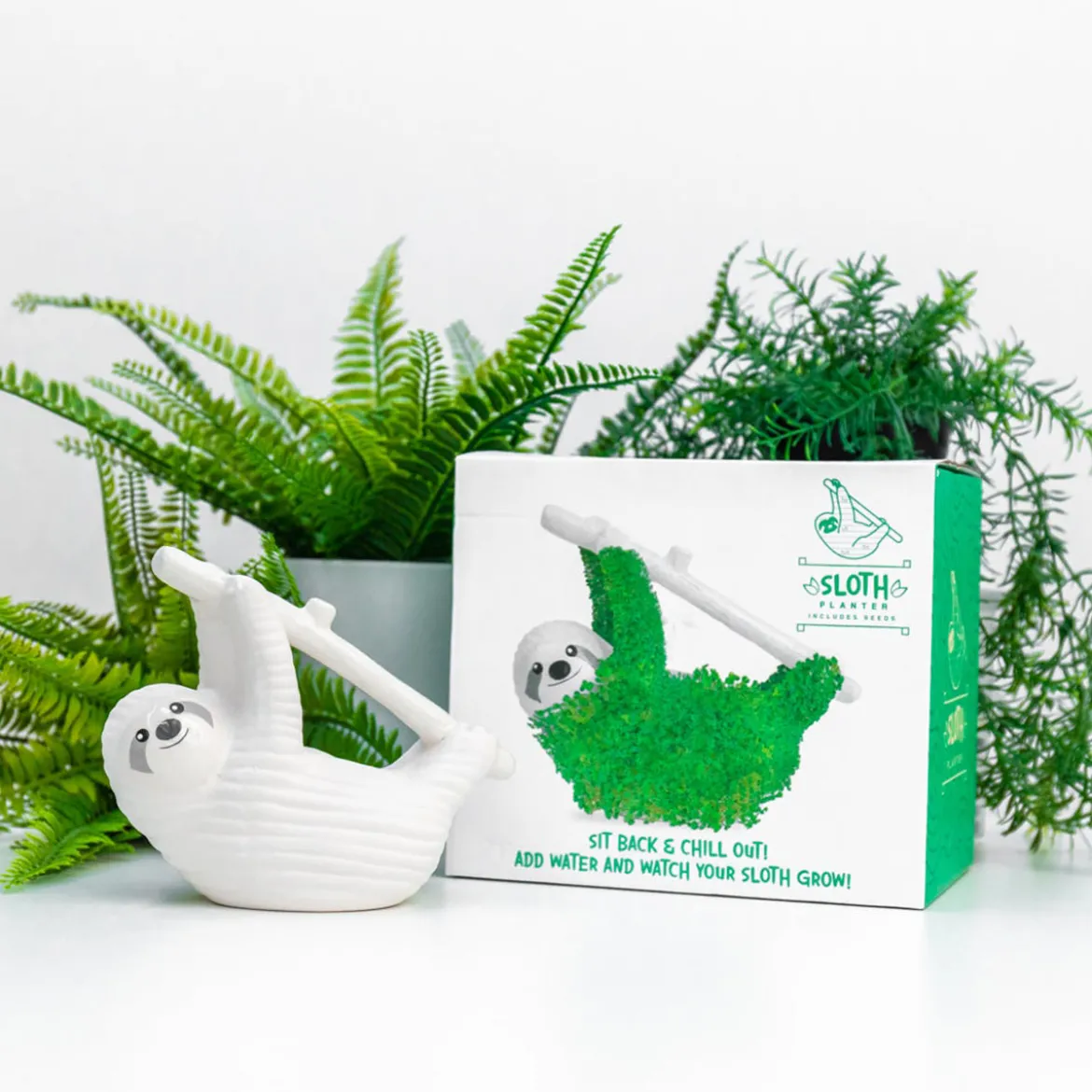Pot / Jardinière Chia - Paresseux
