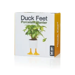 Pot / Jardinière Pieds Canards - Jaune & Blanc