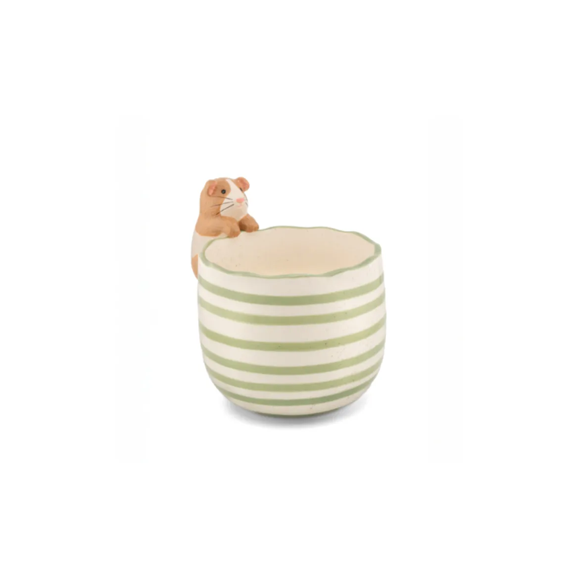 Pot peeking Guinea Pig